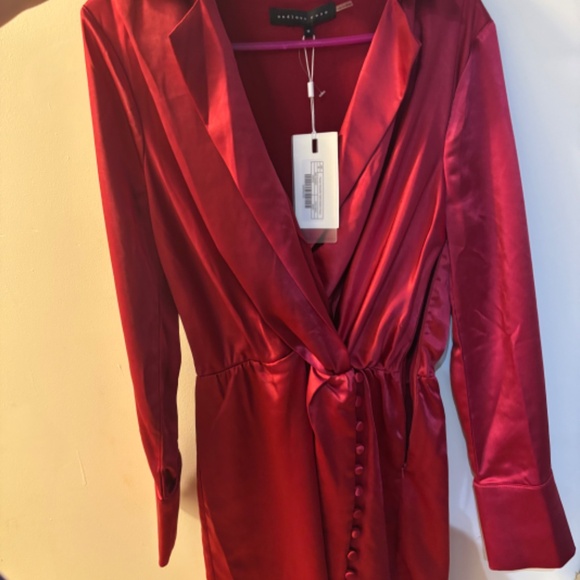 Endless rose mini satin dress - Picture 4 of 4